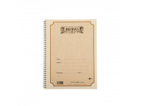 D´Addario  Caderno Pautado Espiral Archives Manuscript B12S-48